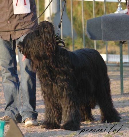 U'tchao dite cheyenne De nedjma