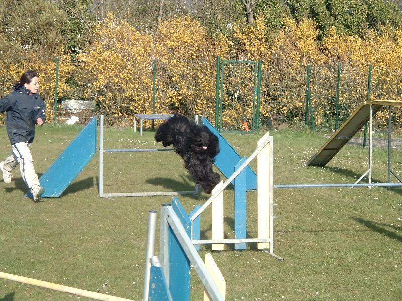 Agility Vikash